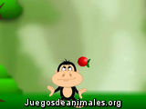 Fruit Chimp