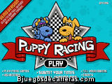 Puppy Racing