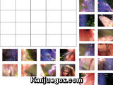 Puzzle Barbie hada