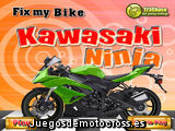 Kawasaki Ninja