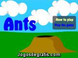 Ants