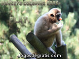 Pinte os macacos