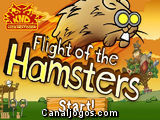 O Voo dos Hamsters