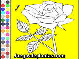 Colorear las flores