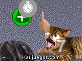 Wake up, Pussy cat! Poke Poke!