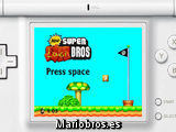New Super Luigi Bros