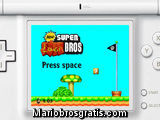 New Super Luigi Bros