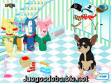 Viste a Roy