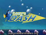 Dory's dash