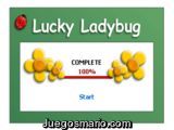 Lucky Ladybug
