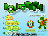Rolling Turtle