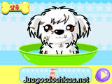 Salón de Belleza Canino