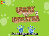 Harry the Hamster