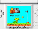 New Super Luigi Bros