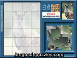 Puzzle Canguro