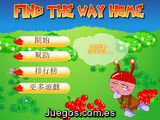 Find the way home