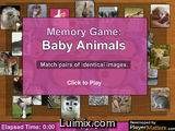Baby animals